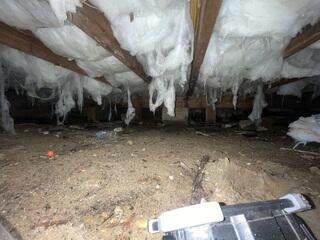 Crawl Space