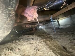 Protecting Your Jacksonville Home from Moisture & Foundation Issues