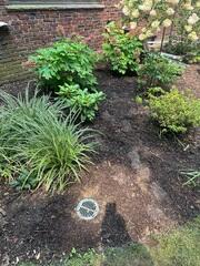 LawnScape