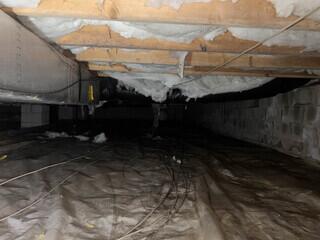 Existing Liner