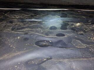 Water Damage