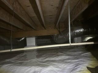 Piers Wrapped