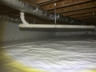 CleanSpace Liner