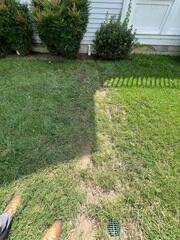 LawnScape