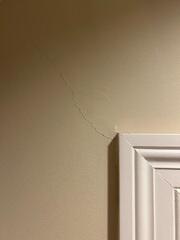 Failing Crawl Space Supports