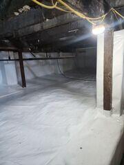 CleanSpace