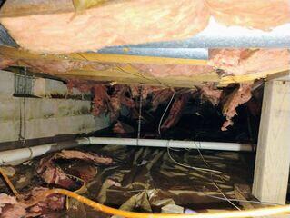 Damp Crawl Space