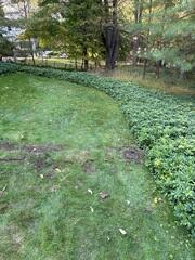 Discharge Line