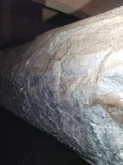 Mold Causing Moisture