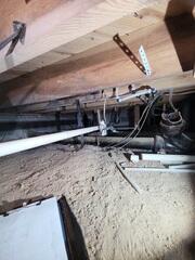 Damp Crawl Space Wood