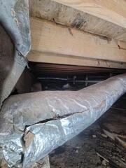 Wet Crawl Space Wood