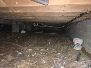 Crawl Space Encapsulation
