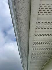 Before Gutter Brightening