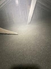 New Cellulose