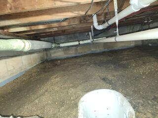 Damp Crawl Space