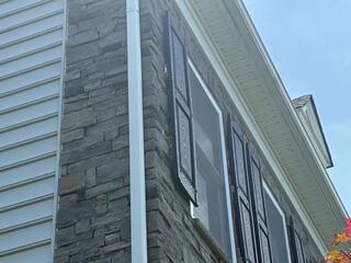 Lots of Nests Behind the Shutters