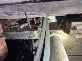 Rotten Floor Joist