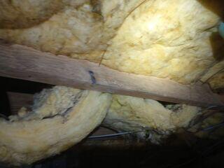 Crawl Space During Inspection