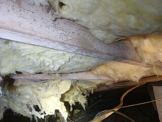 More Moisture Issues