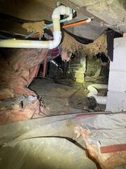 Nasty Crawl Space