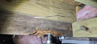 Excess moisture has caused this wood to rot.