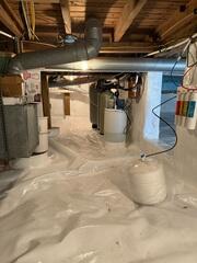 New CleanSpace