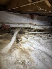 Crawlspace in Swansea, IL