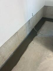 Sealing the Waterguard