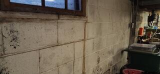 Foundation Settlement