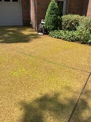SealantPro has a special tint that is green when applied to ensure complete coverage. The tint disappears within minutes, leaving your concrete protected.