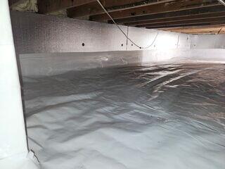 CleanSpace