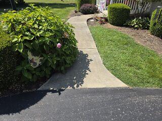 This sidewalk looks more uniform thanks to a couple hours and our PolyLevel foam & our NexusPro sealant.