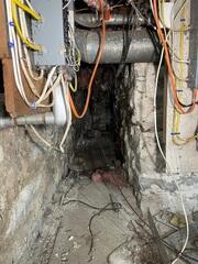 Basement - Before