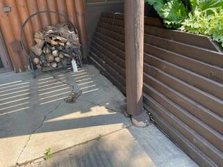 The patio concrete displays cracking caused by movement in the foundation, a clear indicator of settlement issues.