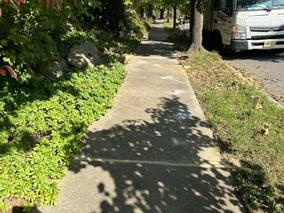 Lifting a Sunken Sidewalk in Allentown, PA