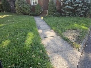 Uneven Concrete Walkway