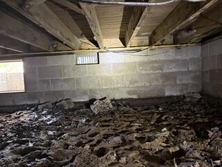 Crawl Space - Before