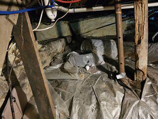 Crawl Space - Before