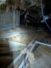 Crawl Space Moisture and Damage - Pittsboro, NC