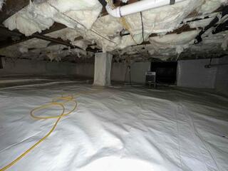 CleanSpace