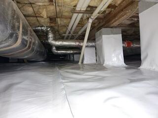 CleanSpace Liner