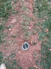 LawnScape
