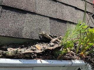 Gutters before Rain Drop installation