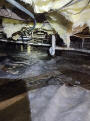 Crawl Space Moisture