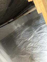 New CleanSpace