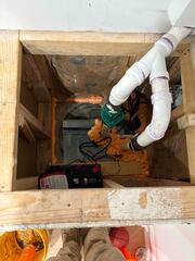 Consultation in Easton - From Mold to Moisture Control