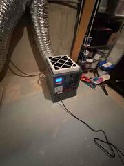 Consultation in Easton - From Mold to Moisture Control