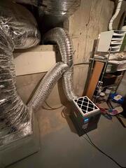 Consultation in Easton - From Mold to Moisture Control