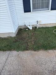 Discharge Line