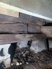 Wet Crawlspace Wood